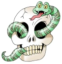 skull