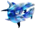 Dolphins