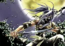 gaiden? noo