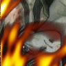 fire anime