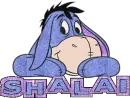 Shalai - Eeyore