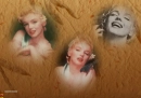 monroe sand