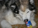 Shania & Dairy Queen