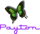 Payton color change butterfly