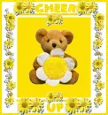 cheer up bear with daisy