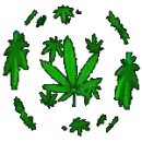 Weed