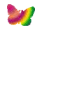 mariposa