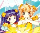 ccs