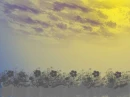 fondo