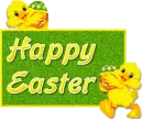 Cute chicks 