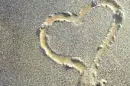forever and ever love