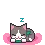 kitty