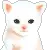 kitty