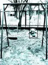 swinging teddy