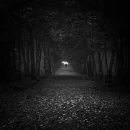 lonely road