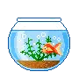 fish bowl