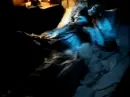 The Cure - Lullaby