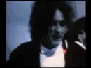 The Cure - In Between Days