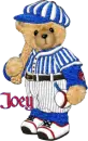 Joey - baseball bear