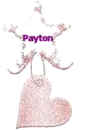 Payton pink heart star tag