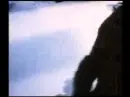 The Cure - In Between Days