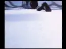 The Cure - In Between Days