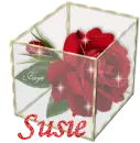 Susie - Rose Glassbox