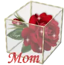 Mom - Rose Glassbox