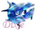 Dixie - Dolphins