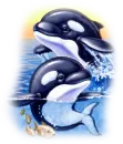 whales
