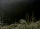The Cure - Just Like Heaven
