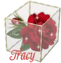 Tracy - Rose Glassbox