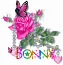 Bonny Diamond Butterfly