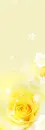 YELLOW ROSE