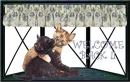 Welcome Back Cute Kittens