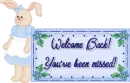 Welcome Back Bunny