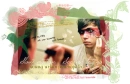 insan