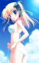 swimsuit