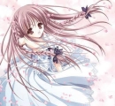 Pink Flower Petals