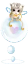 bubble kitty