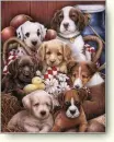 Dogs