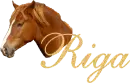 Riga