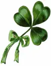 Feelin Lucky
