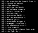 life quote