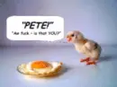 Sad chick 