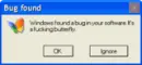 Bug Found 