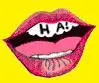 Laugh a lot