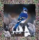 bird2