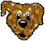 glittery dog