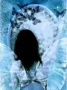 blue frost